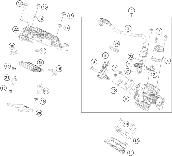 Despiece original completo de Cuerpo de la válvula de mariposa del modelo de KTM 125 DUKE BLACK del año 2023