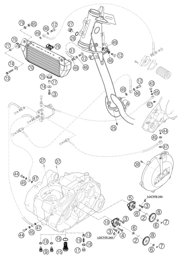 Despiece original completo de Sistema de lubricación del modelo de KTM 660 Rallye Factory Repl del año 2003