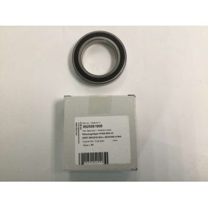 DEEP GROOVE BALL BEARING 61909