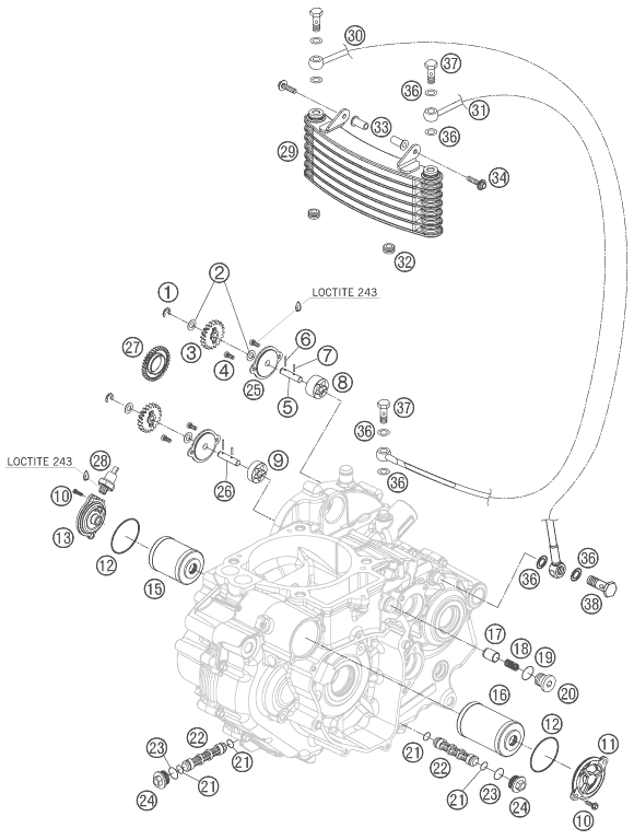 Despiece original completo de Sistema de lubricación del modelo de KTM 690 RALLY FACTORY REPLICA del año 2010
