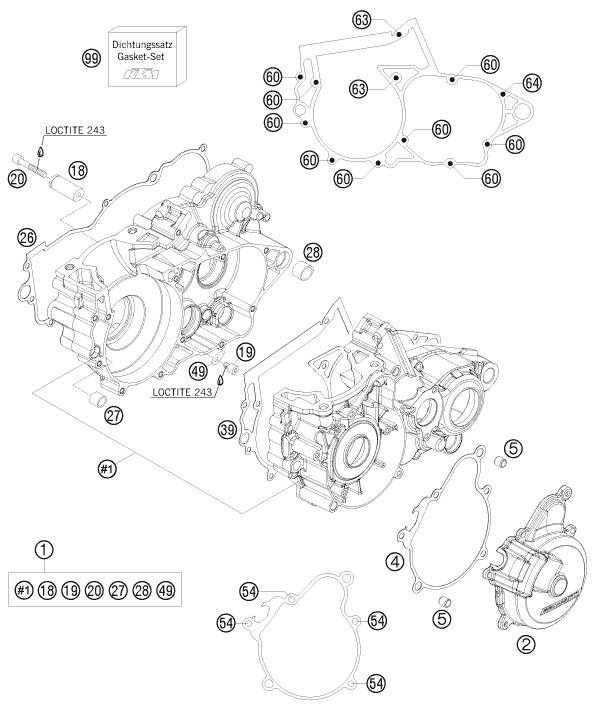 Despiece original completo de Carter del motor del modelo de KTM 250 EXC Six-Days del año 2008