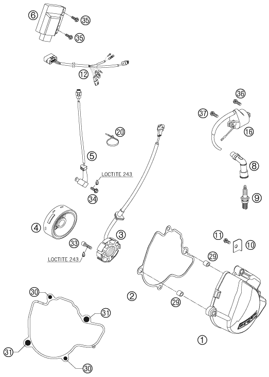 Despiece original completo de Sistema de encendido del modelo de KTM 250 SX-F FACT.REPL.MUSQ. ED del año 2010