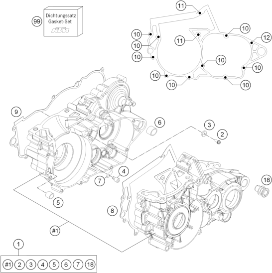 Despiece original completo de Carter del motor del modelo de KTM FREERIDE 250 R del año 2016