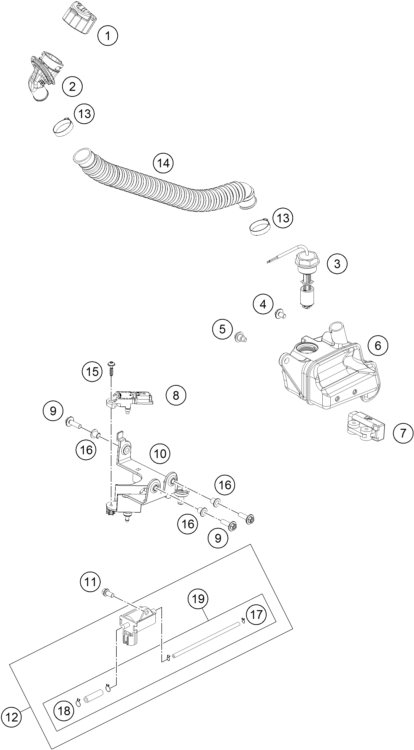 Despiece original completo de Sistema de lubricación del modelo de KTM 250 EXC TPI del año 2019