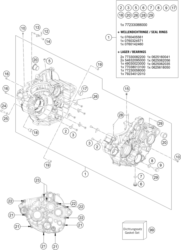 Despiece original completo de Carter del motor del modelo de KTM 250 EXC-F del año 2020