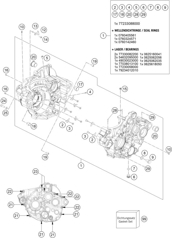 Despiece original completo de Carter Del Motor del modelo de KTM 350 EXC-F WESS del año 2021