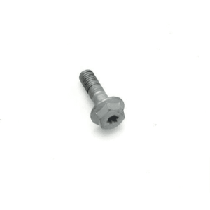 SPECIAL SCREW M12X40 SW19
