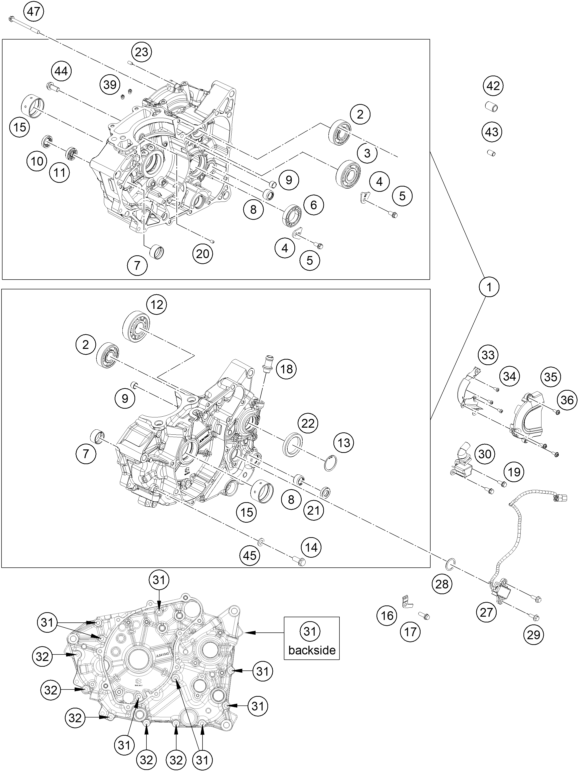 Despiece original completo de Carter del motor del modelo de KTM 125 DUKE BLUE del año 2025