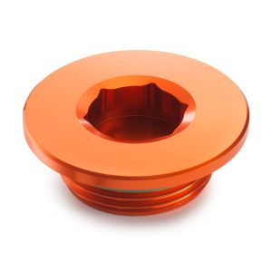 Ignition Cover Plug