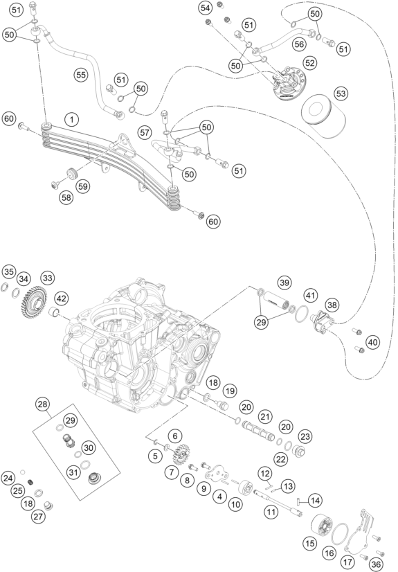 Despiece original completo de Sistema de lubricación del modelo de GASGAS RX 450F REPLICA del año 2025
